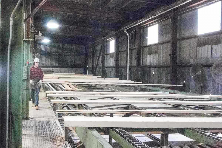grading chain in Kane sawmill