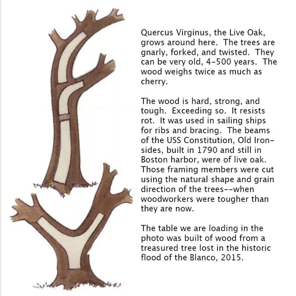 Live oak text