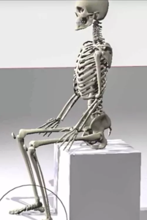 skeleton sitting